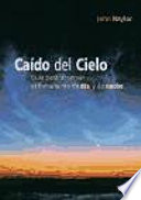Caído del cielo - John Naylor