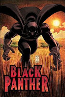 Who Is the Black Panther - Reginald Hudlin