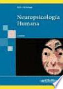 Neuropsicología humana
