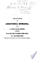 Tratado de anatomía humana - Julian Calleja y Sánchez